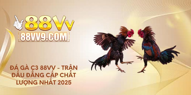 Đá gà C3 88VV - Trận đấu đẳng cấp chất lượng nhất 2025